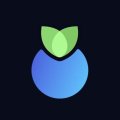 Blueberry (BLBR) ICO
