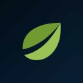 Bitfinex (LEO) ICO