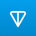 Toncoin (TON) ICO