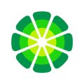 LimeWire (LMWR) ICO