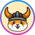 Floki Inu (FLOKI) ICO