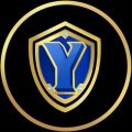 Yield Guild Games (YGG) ICO