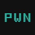 PWN (PWN) ICO