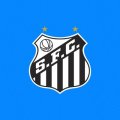 Santos FC Fan Token (SANTOS) ICO